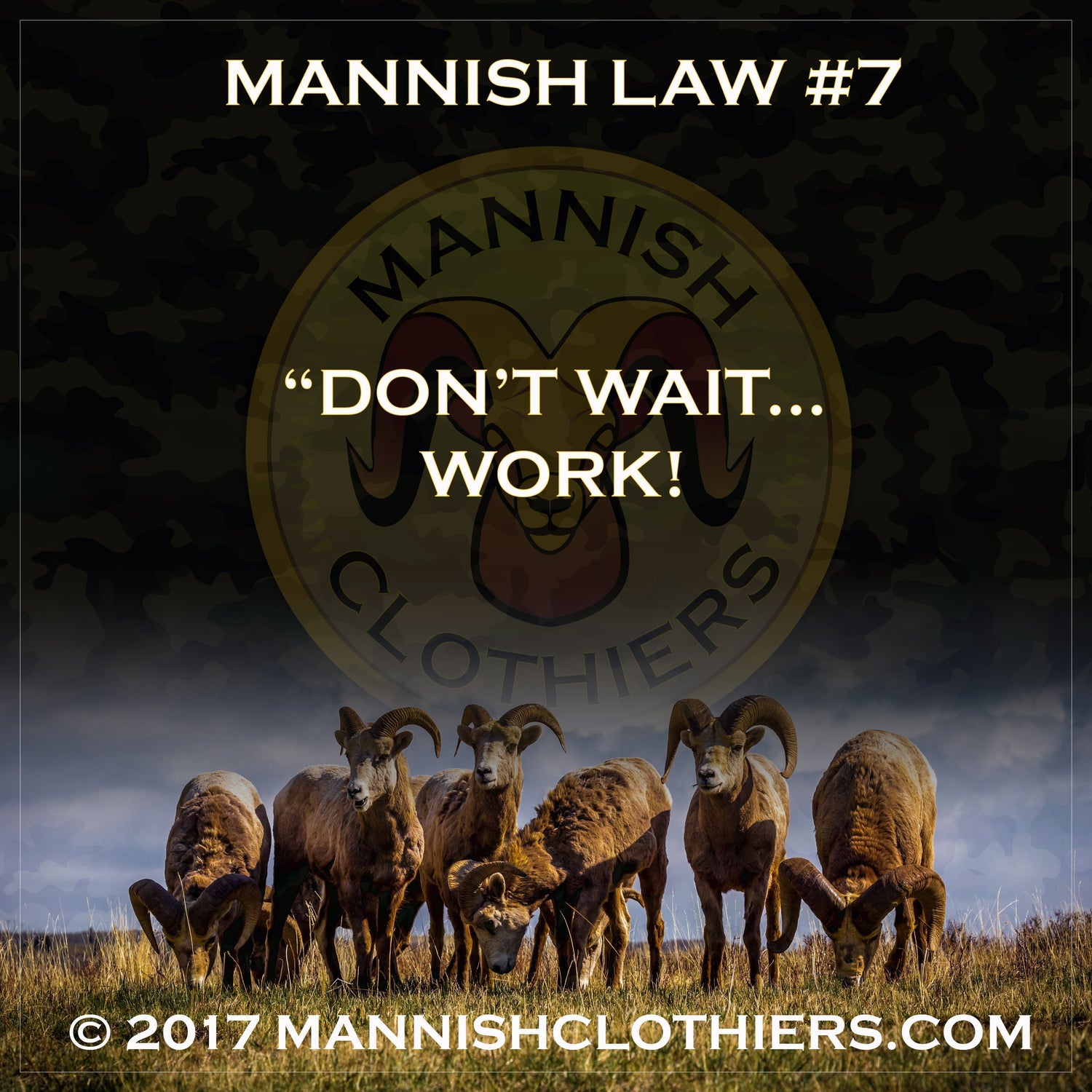 Mannish Law #7