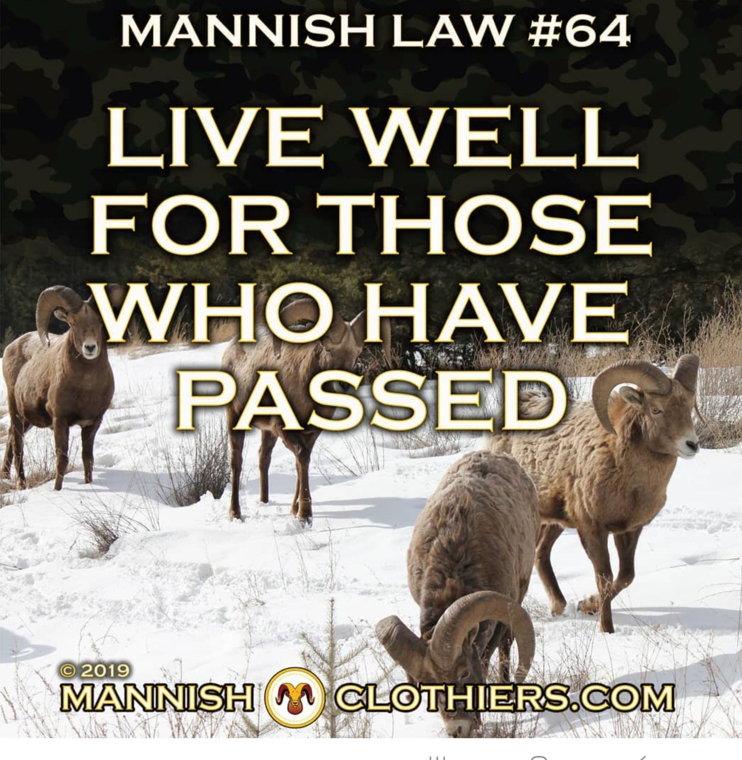 Mannish Law #64