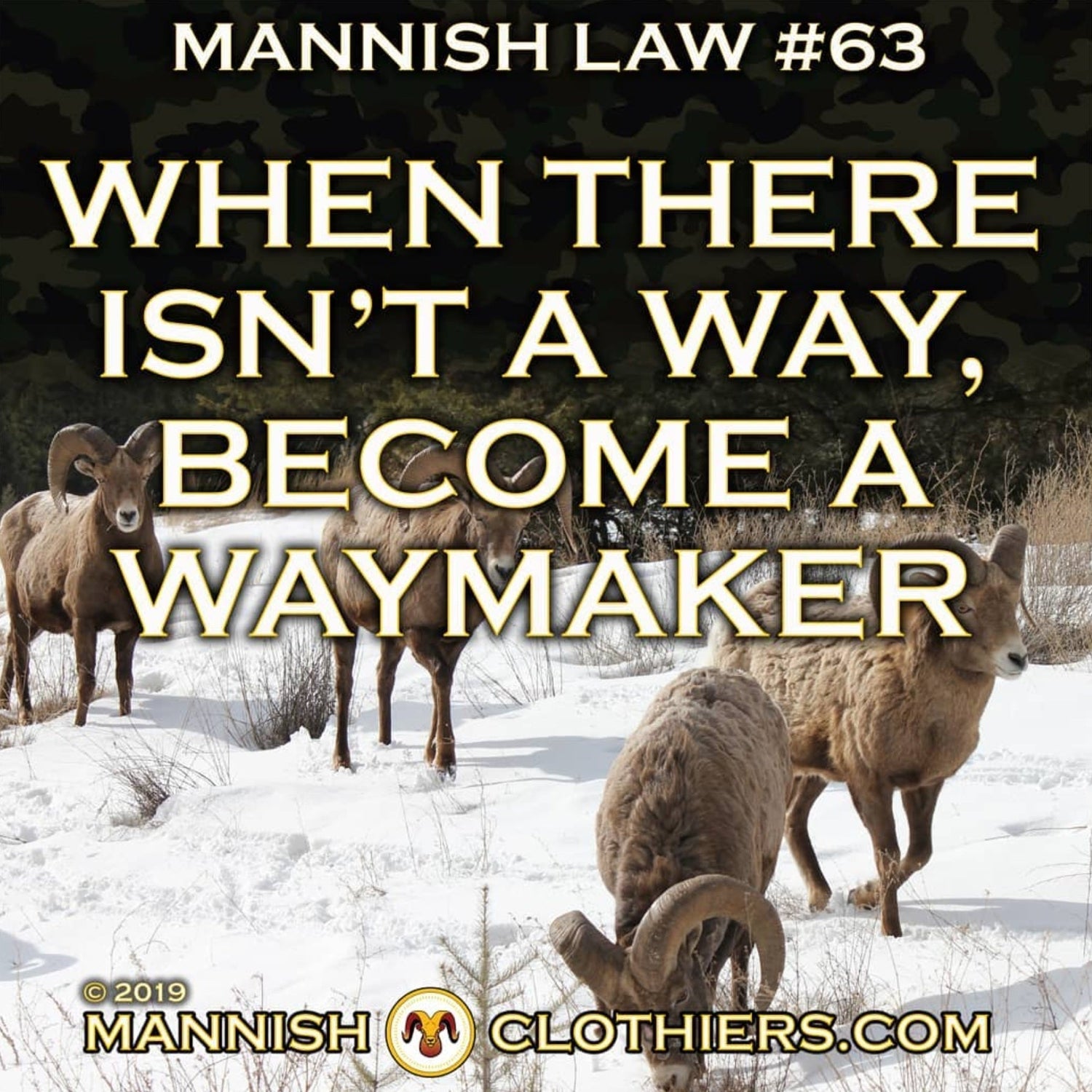 Mannish Law #63